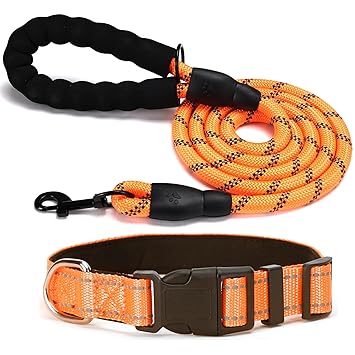Wooflix Reflective Dog Leash and Collar Combo Set | Dog Collar & Anti Slip Padded Handle Leash for Dogs | Highly Reflective | Dog Rope for Medium & Large Dogs | (Leash 5 Ft. + Collar Medium, Orange)