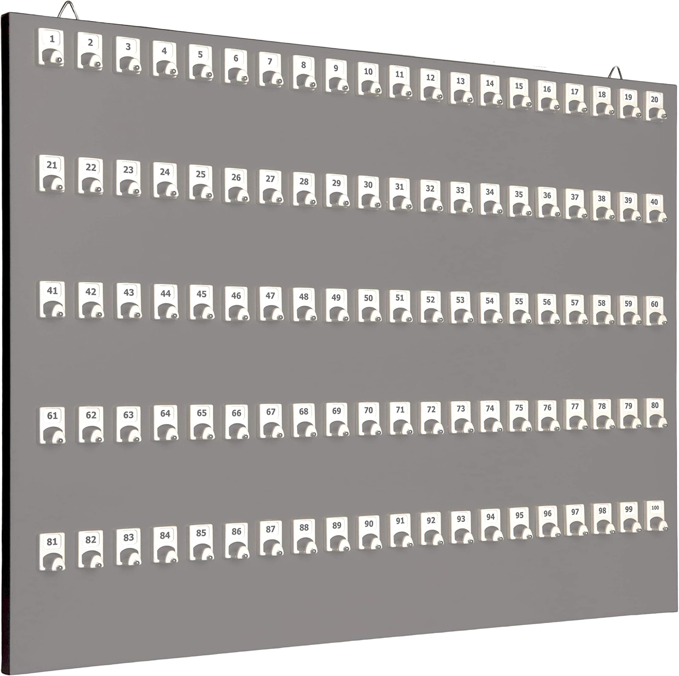 Stand Company KEYSTAND # 100PGS, 100 Numbered Hooks for Car Rentals & Large Warehouses (100 Tag & Ring Included)