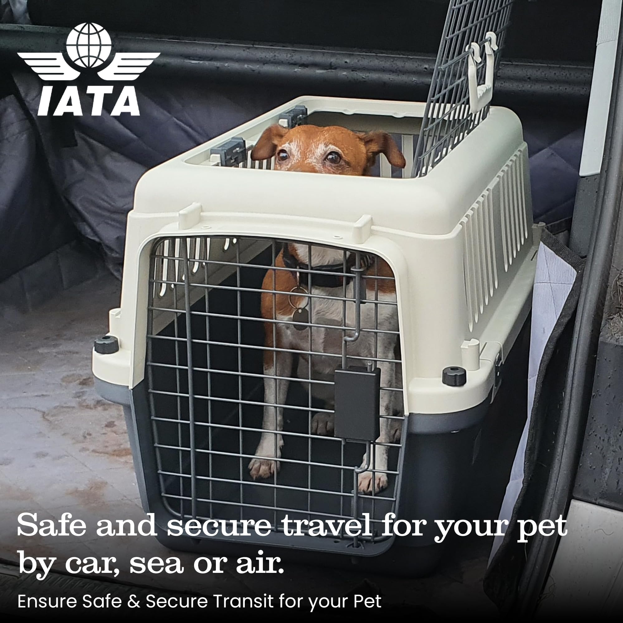 Henry Wag Open Top Travel Kennel - Ensure Safe & Secure Transit