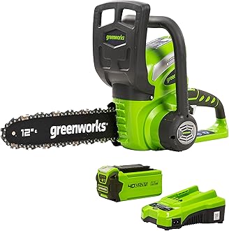 Greenworks40V 12inch Chainsaw, 2.0 Battery & Charger Included, 2000219