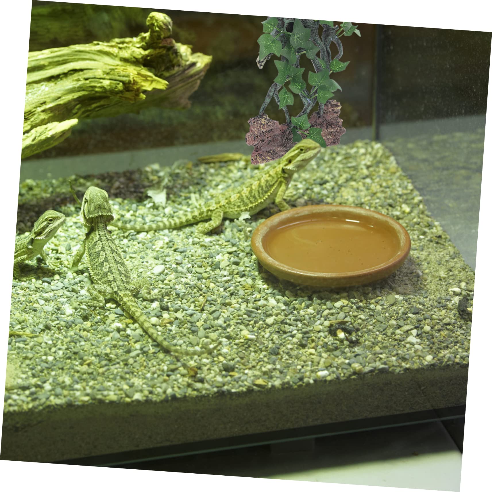 POPETPOP Artesanías De Resina para Terrario Decoración De Acuario Escondite para Reptiles Rama De Árbol Árbol De Peces Accesorios para Reptiles y Peceras Paisaje Acuático