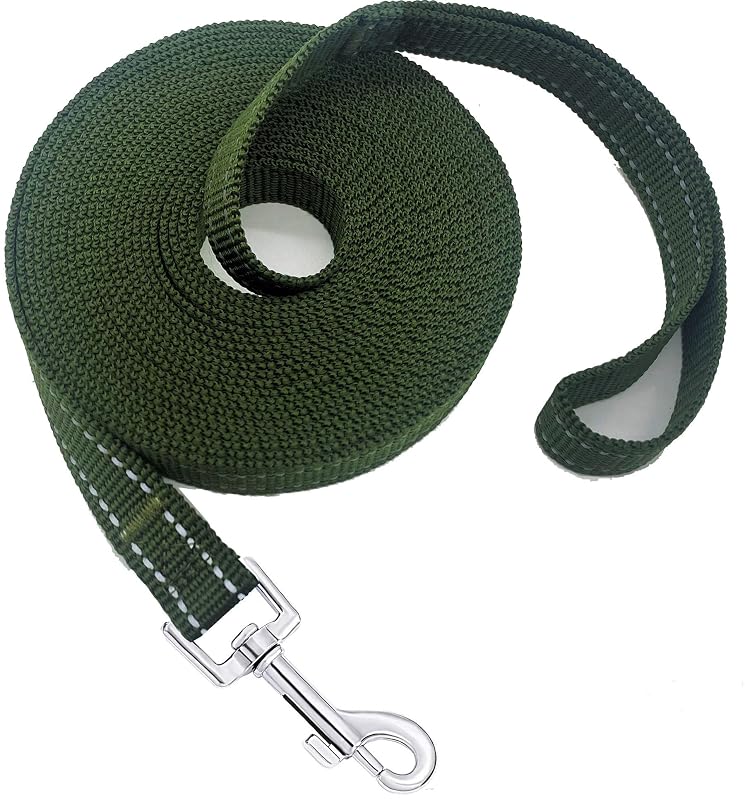Guia de adestramento para cães em nylon refletivo MANDAO, 2,54 cm x 4,57 m, Verde Refletivo