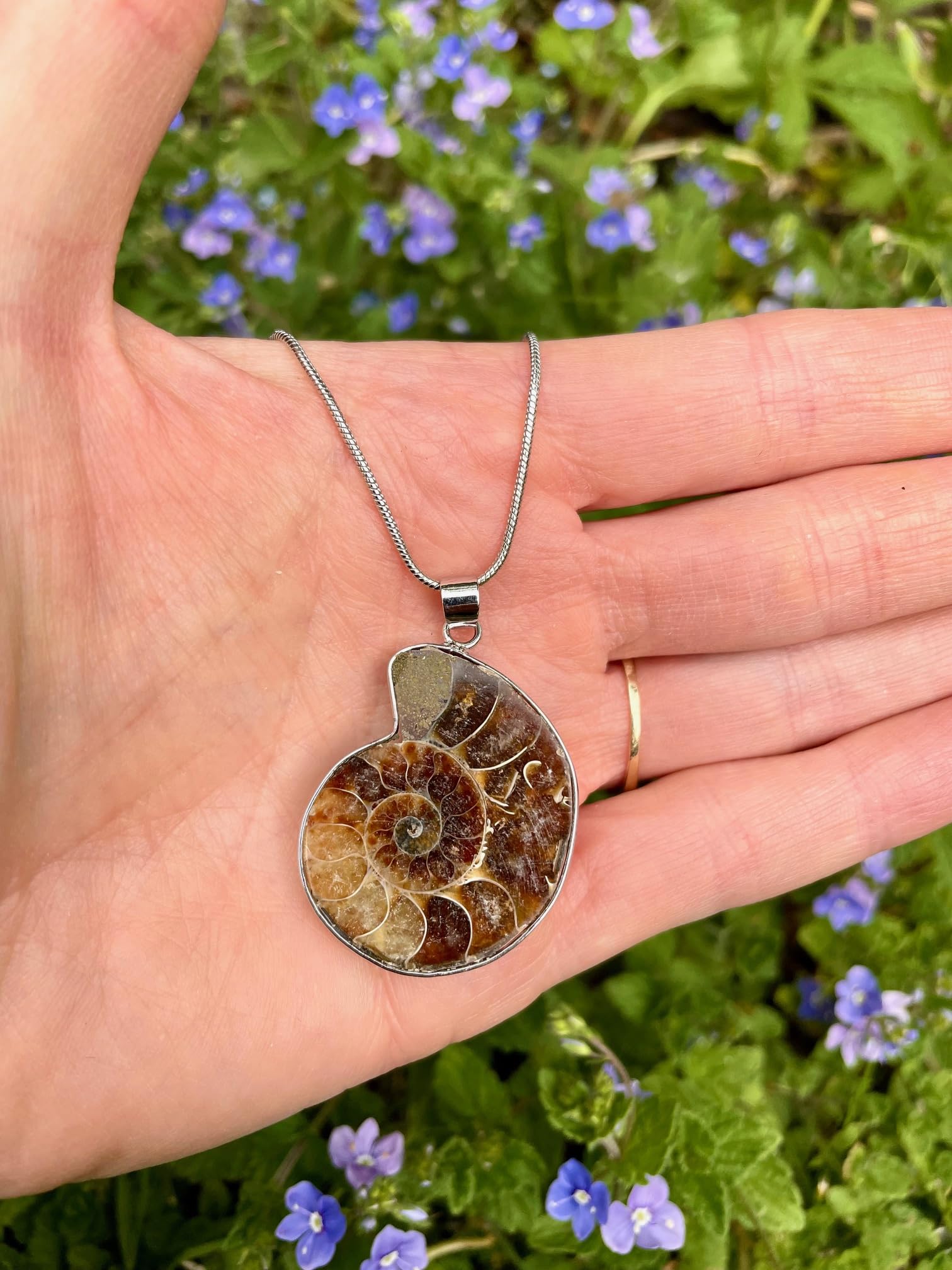 Serafino Collana con ciondolo a forma di ammonite in confezione regalo con cristalli di guarigione e gioielli fossili di milioni di anni
