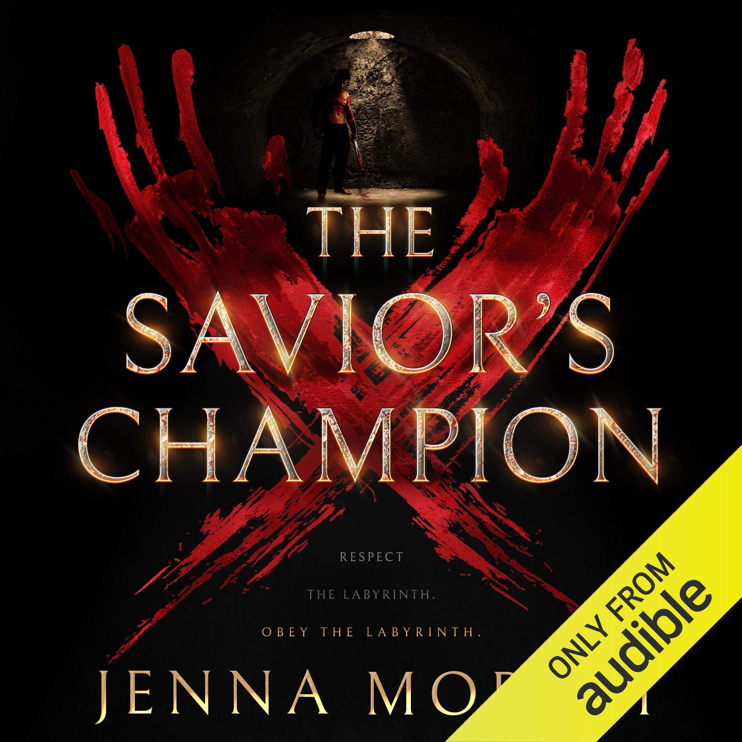 Cover art for The Savior's Champion