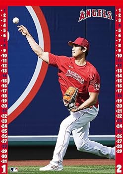 SALE❗️【美品】エンゼルス大谷翔平　豪華セット　フォト　はがき24枚　限定 Amazon.co.jp: エンスカイ(ENSKY) 大谷翔平 2024年壁掛け
