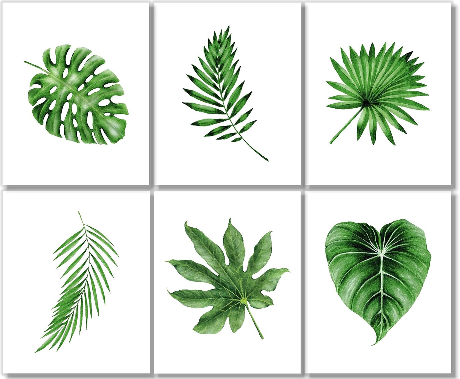 Botanical Prints Wall Art Tropical Leaves Decor (Set of 6