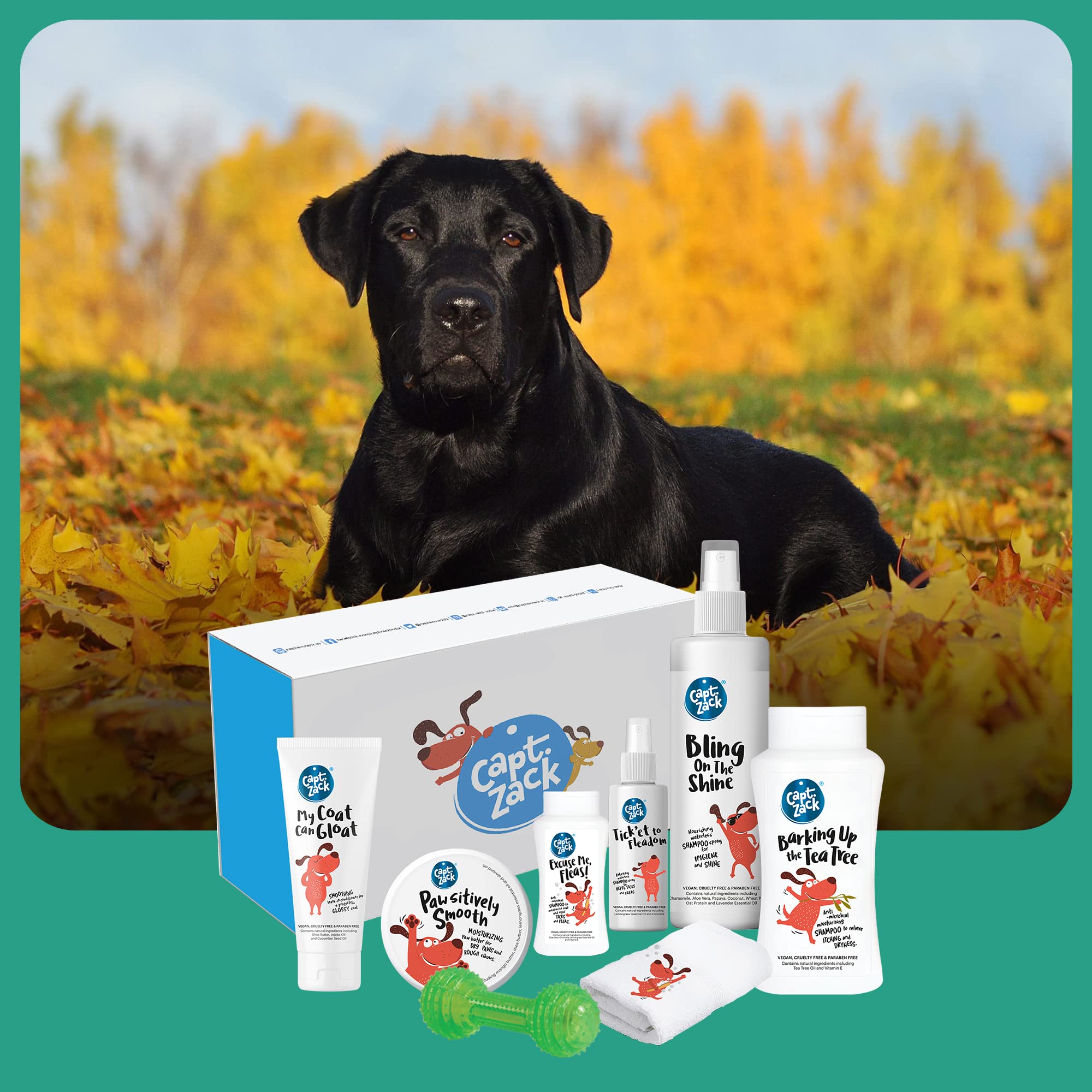 Buy Captain Zack - The Labrador Groom Box – Ultimate 8-in-1, Head