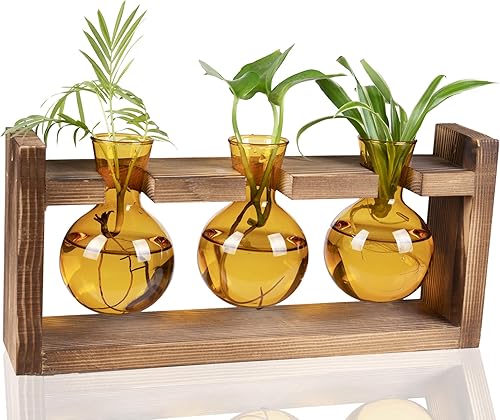 Kingbuy - Florero de vidrio en forma de bulbo con soporte de madera maciza estilo retro, para plantas hidropónicas, decoración de jardín o boda