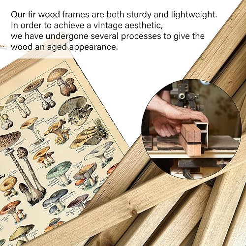 Miniatura 292 de XIAOAIKA Póster de botánica vintage con marco de madera, tabla de plantas venenosas antiguas, arte educativo botánico con especies peligrosas, 1