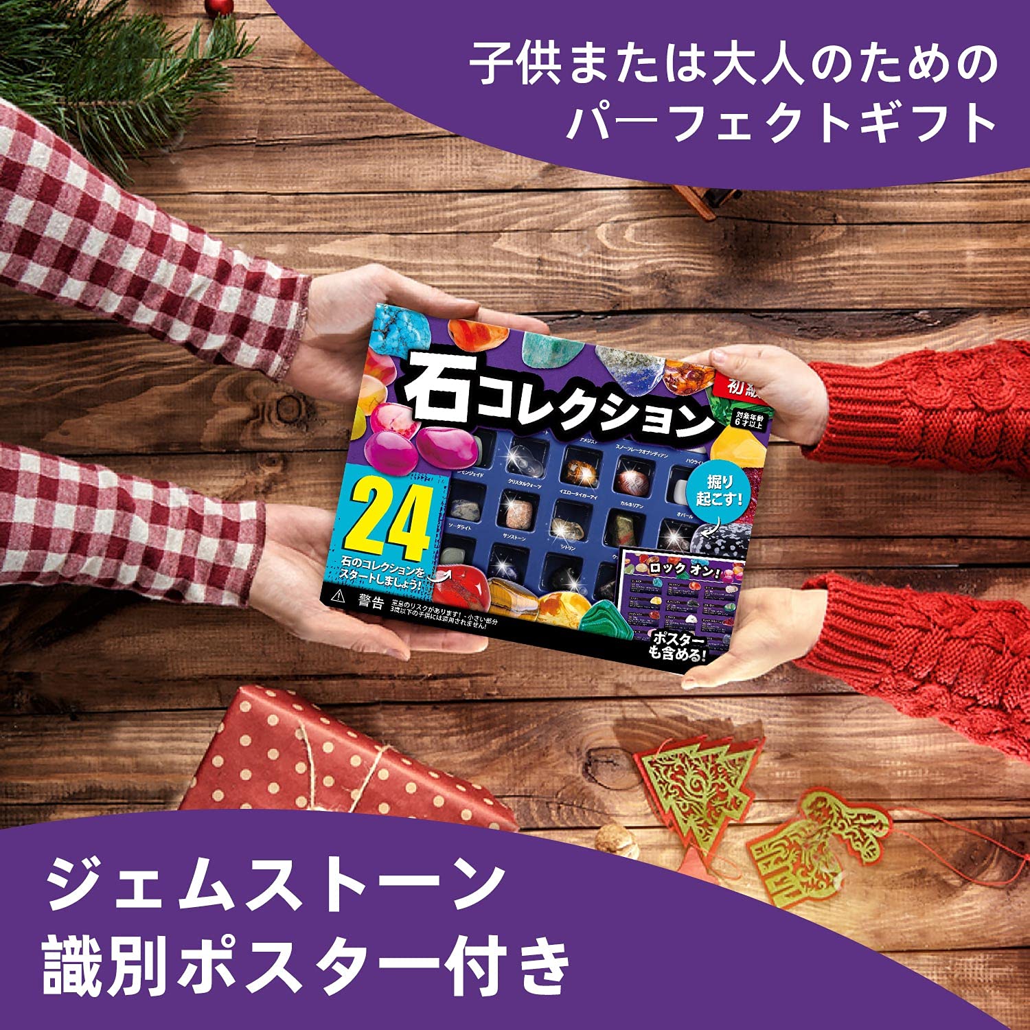 Amazon | XXTOYS 鉱石標本24種 おもちゃ 宝石 岩石標本 天然鉱石