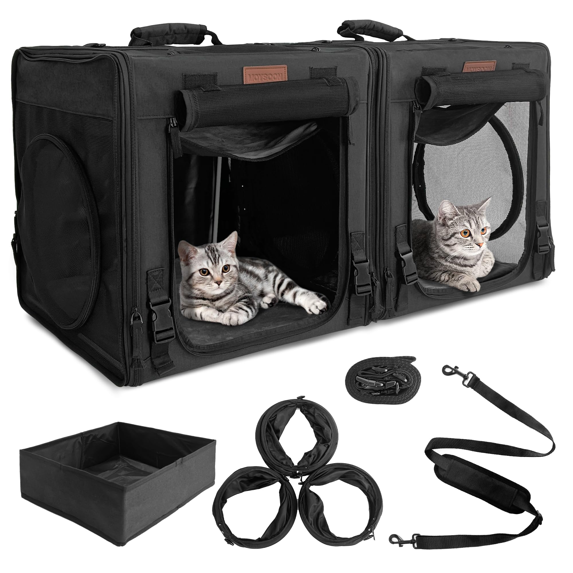 How to Travel With Two Cats Road Trip: Ultimate Stress-Free Guide