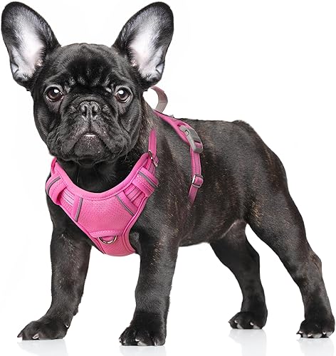 Miniatura 18 de BARKBAY - Arnés sin tirones para perro, reflectante, con clip frontal y asa de fácil control para entrenamiento, paseos y correr, con bolsillo