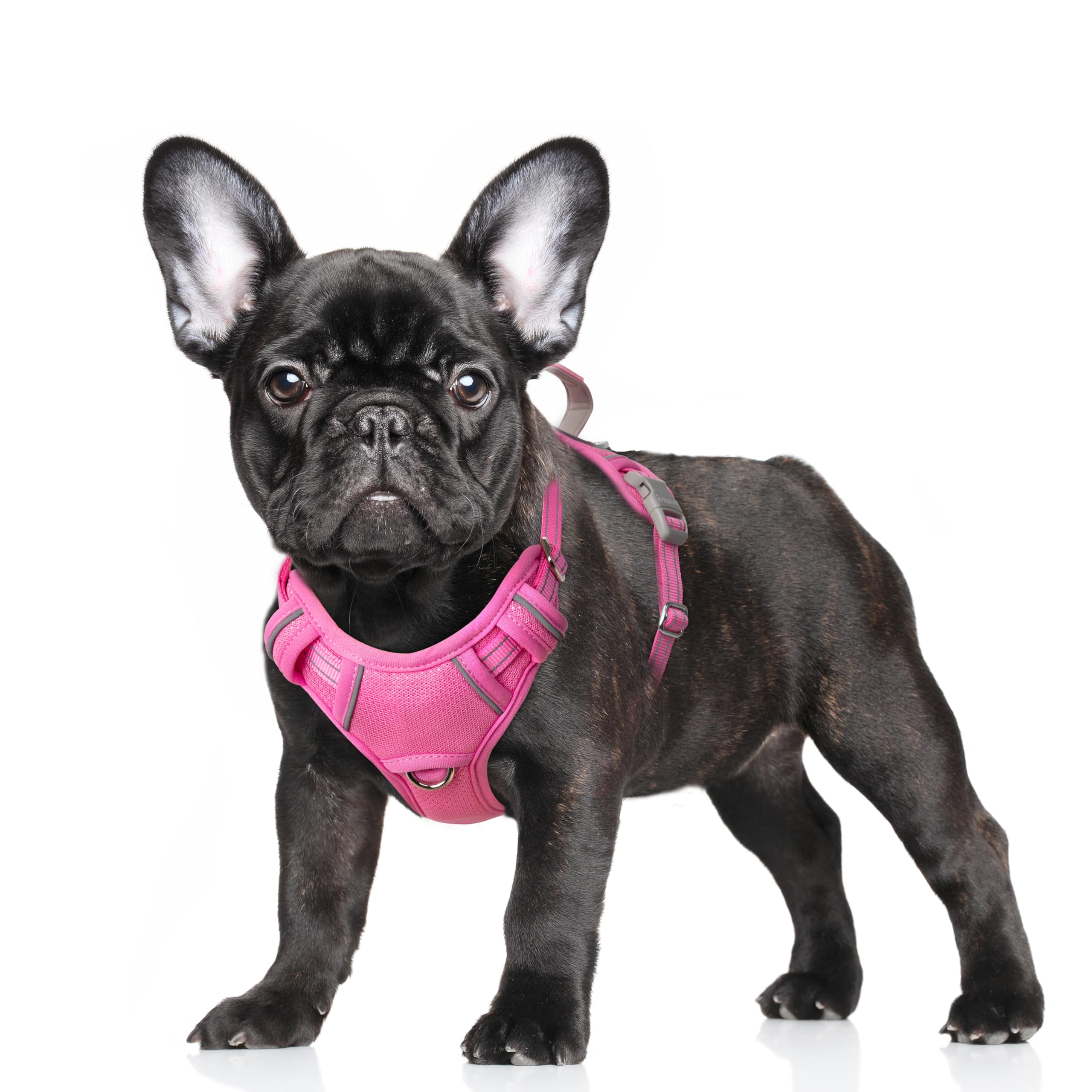 BARKBAY No Pull Dog Harness Large Reflective Dog Harness with Front Clip and Easy Control Handle for Walking Training Running with ID tag Pocket(Pink,S) — image 1