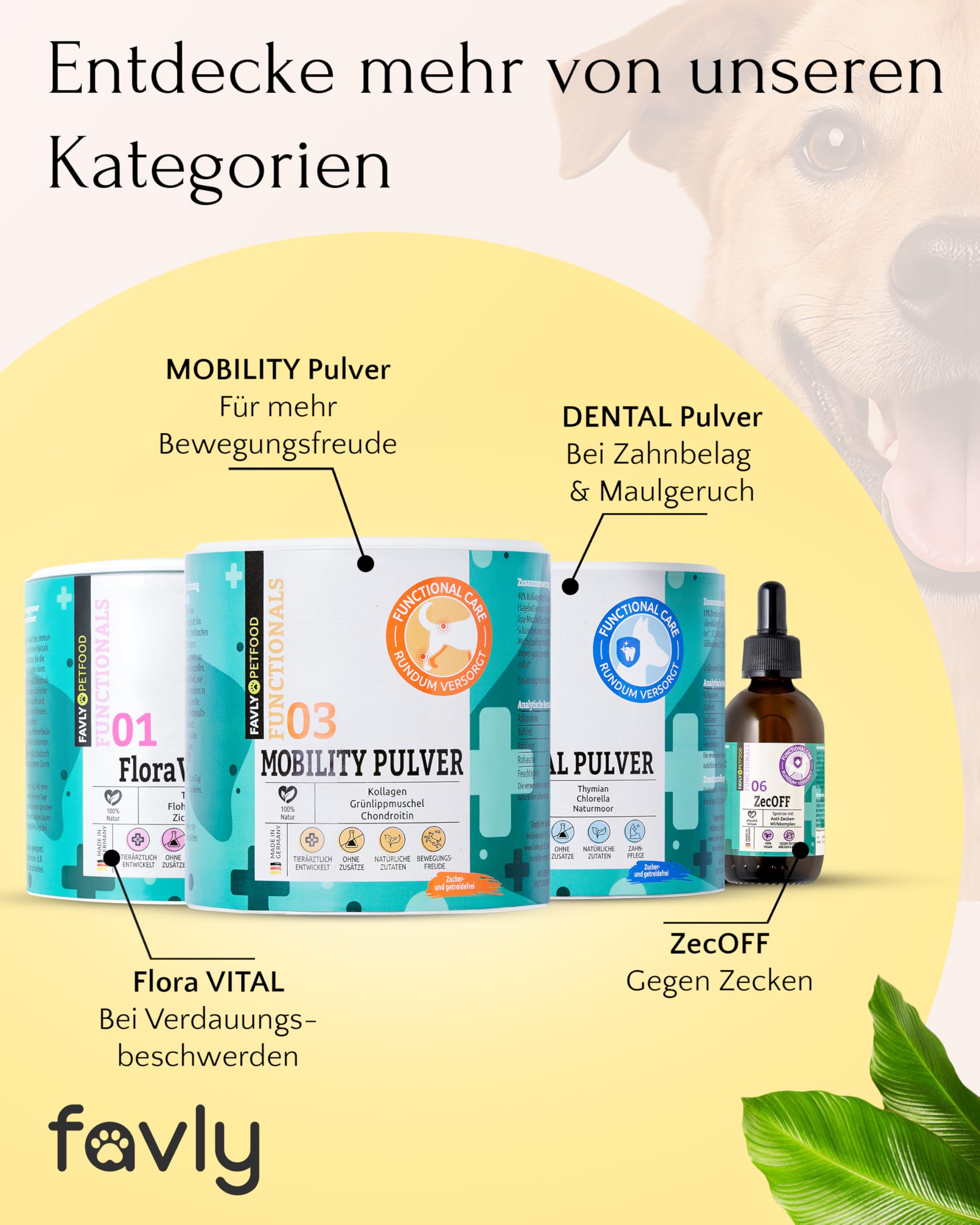 FAVLY – HEPASKIN Fellpflege Pulver 3x250g für Hunde & Katzen – Ergänzungsfuttermittel Topping mit Mariendistel, Omega-3 & Spirulina – bei Juckreiz, Schuppen & stumpfem Fell – Ohne Getreide & Zusätze