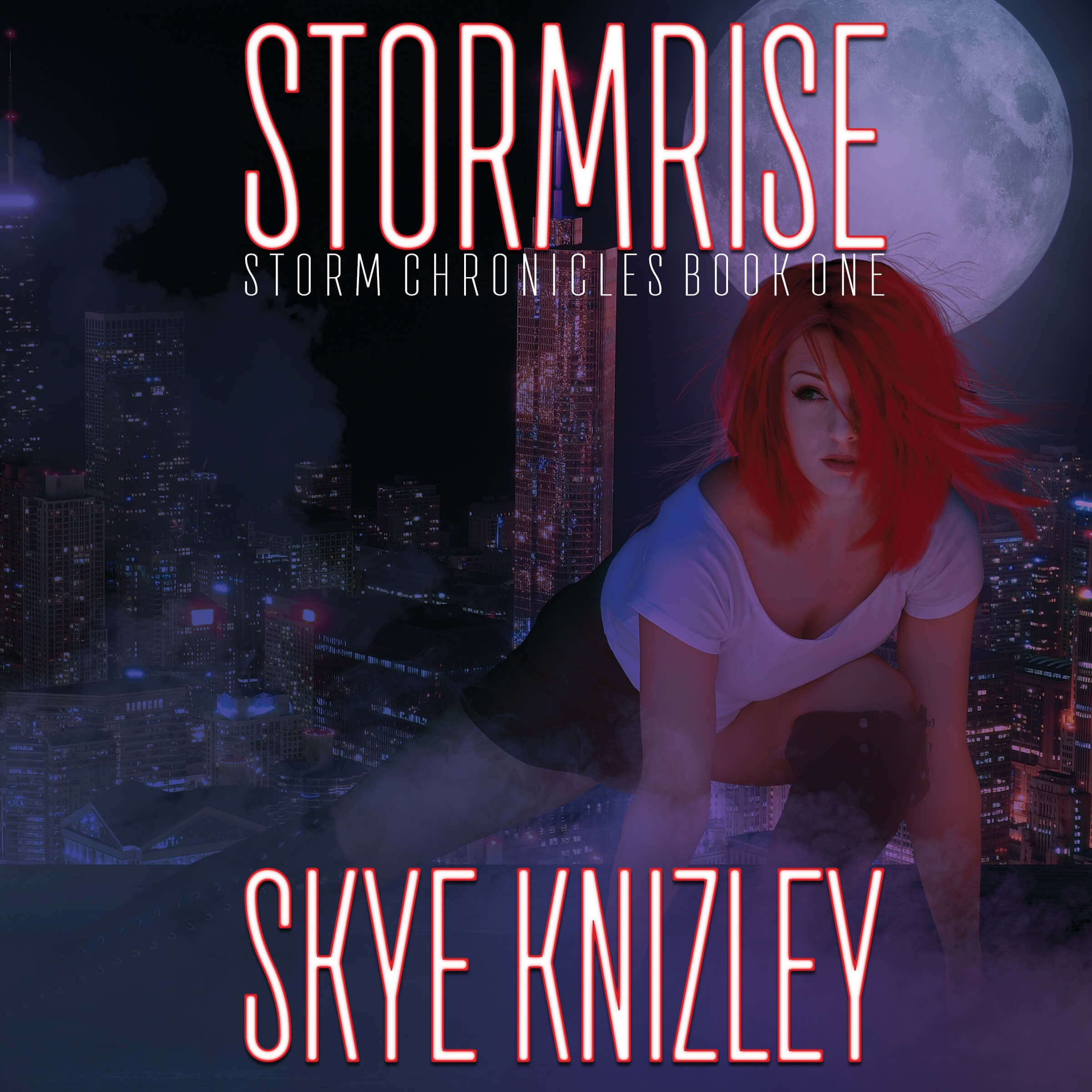 Cover art for Stormrise