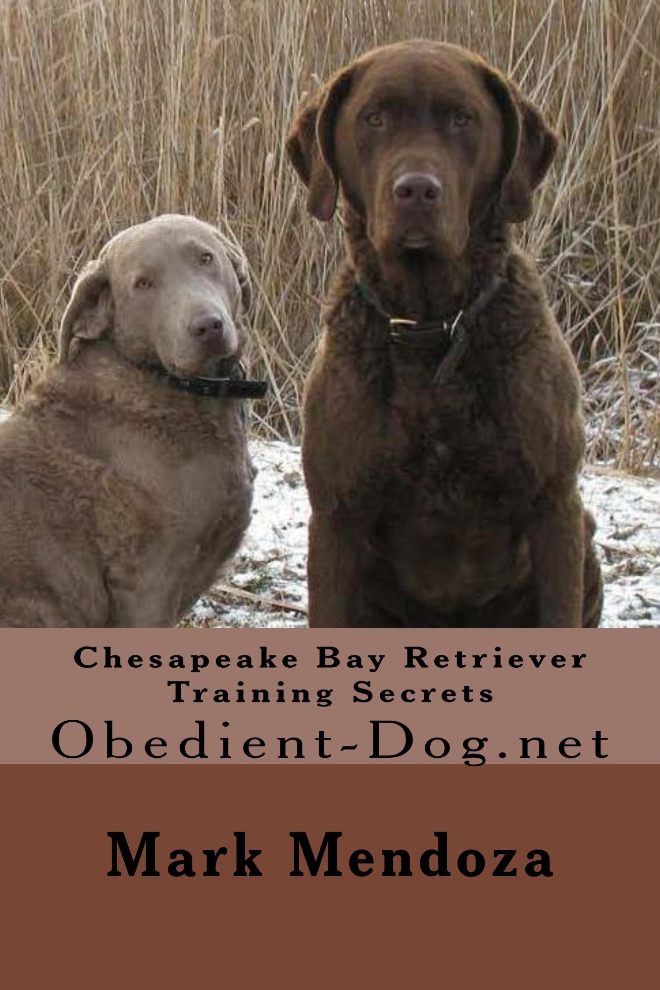 Chesapeake Bay Retriever Training Secrets: Obedient-Dog.net