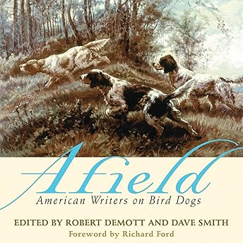 Afield Audiobook