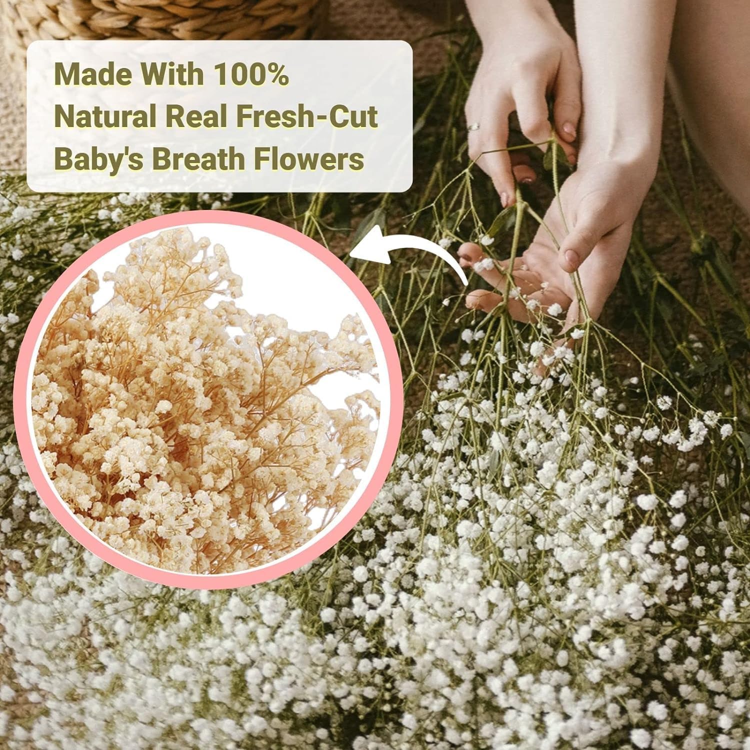 Oning 6500+ Large Dried Babys Breath Flowers Bouquet - Upgraded Package Bulk Cream White Baby Breath(7.05 oz), Natural Gypsophila Flowers Branches for Wedding, Floral Arrangement, Vase Decor