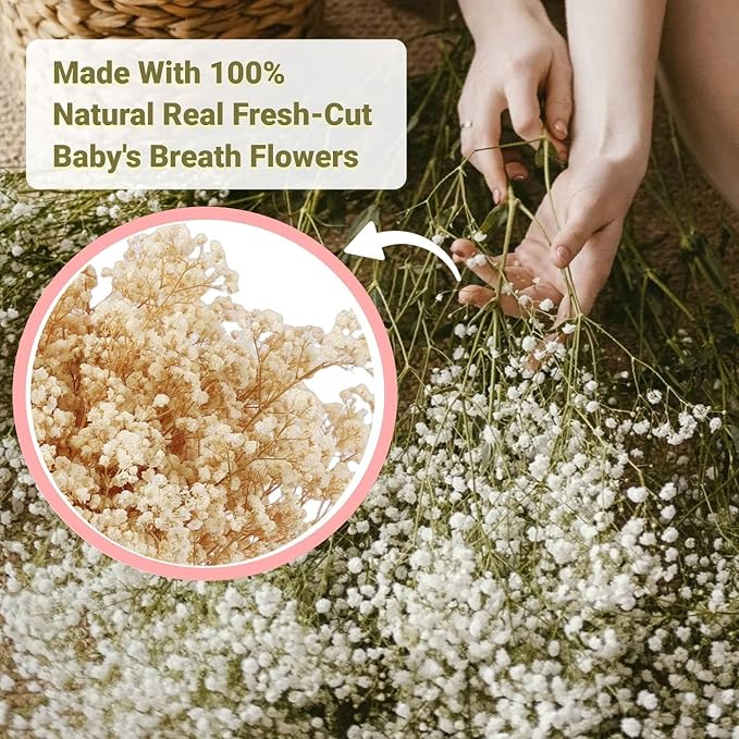 Ramo Grande de Flores Secas Baby's Breath 7.05 oz miniatura 5