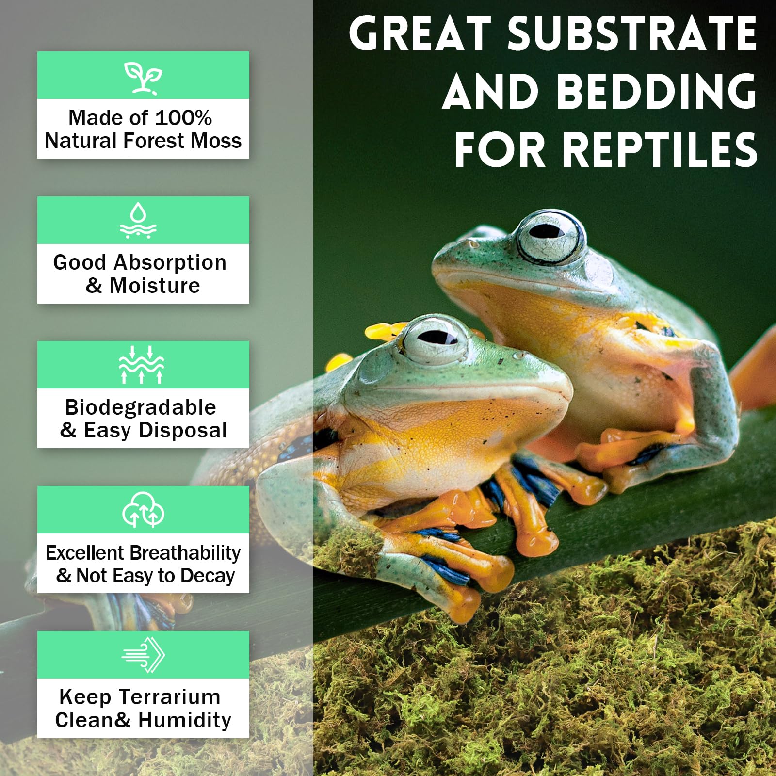 Riare 400g Natural Sphagnum Moss for Reptile,Forest Moss Reptile Substrate for Reptiles & Amphibians Snakes, Gecko, Turtles - Image 3