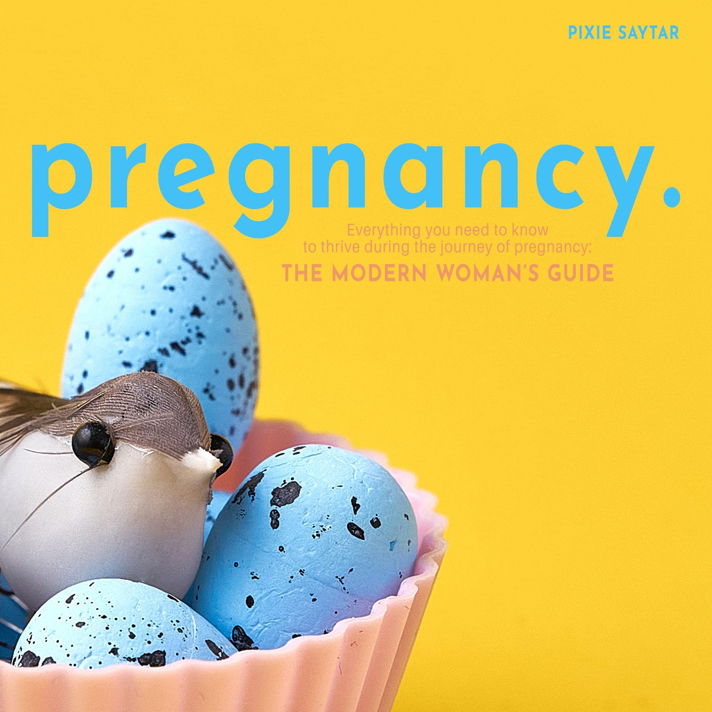 Cover art for Pregnancy