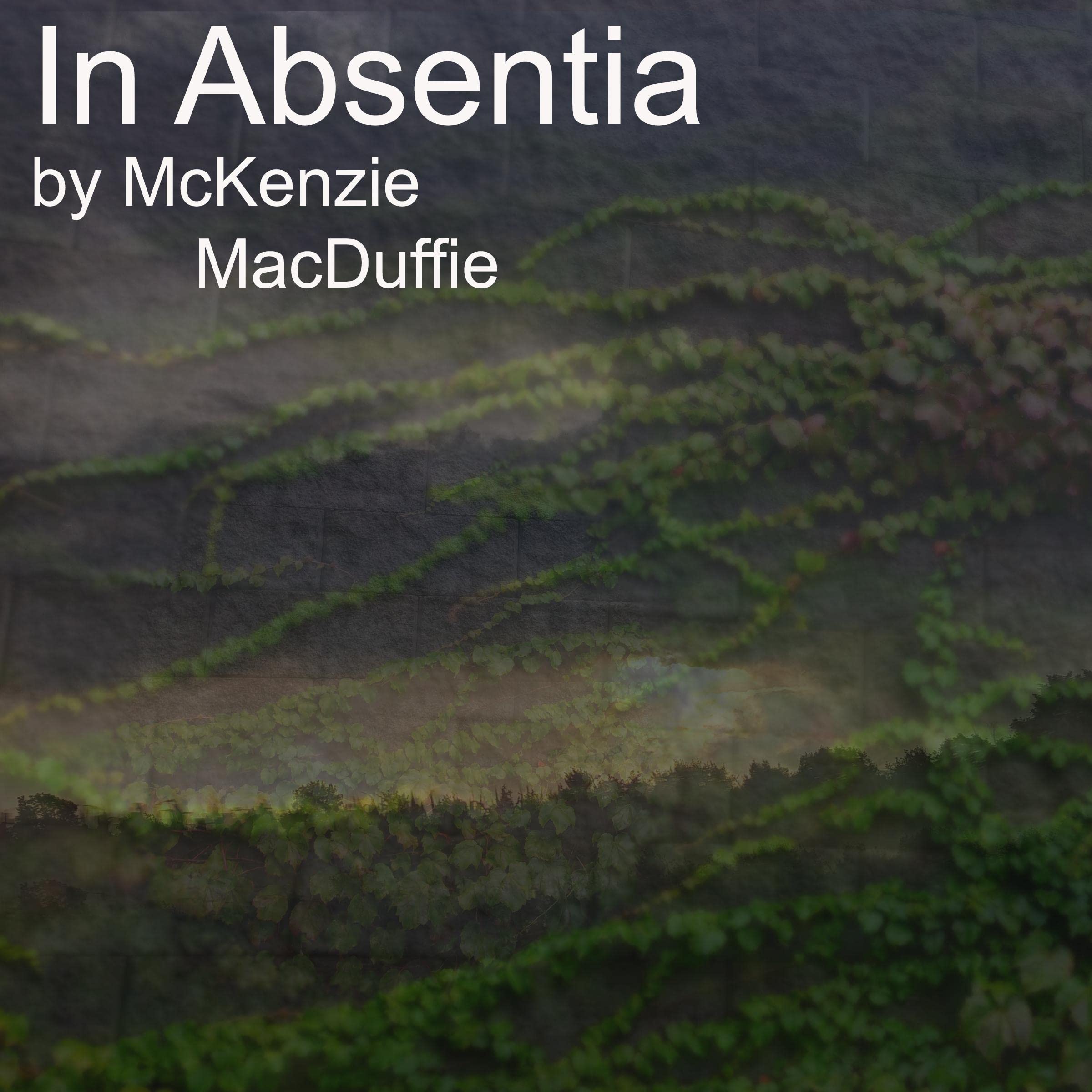 Cover art for In Absentia (2 Book Series)