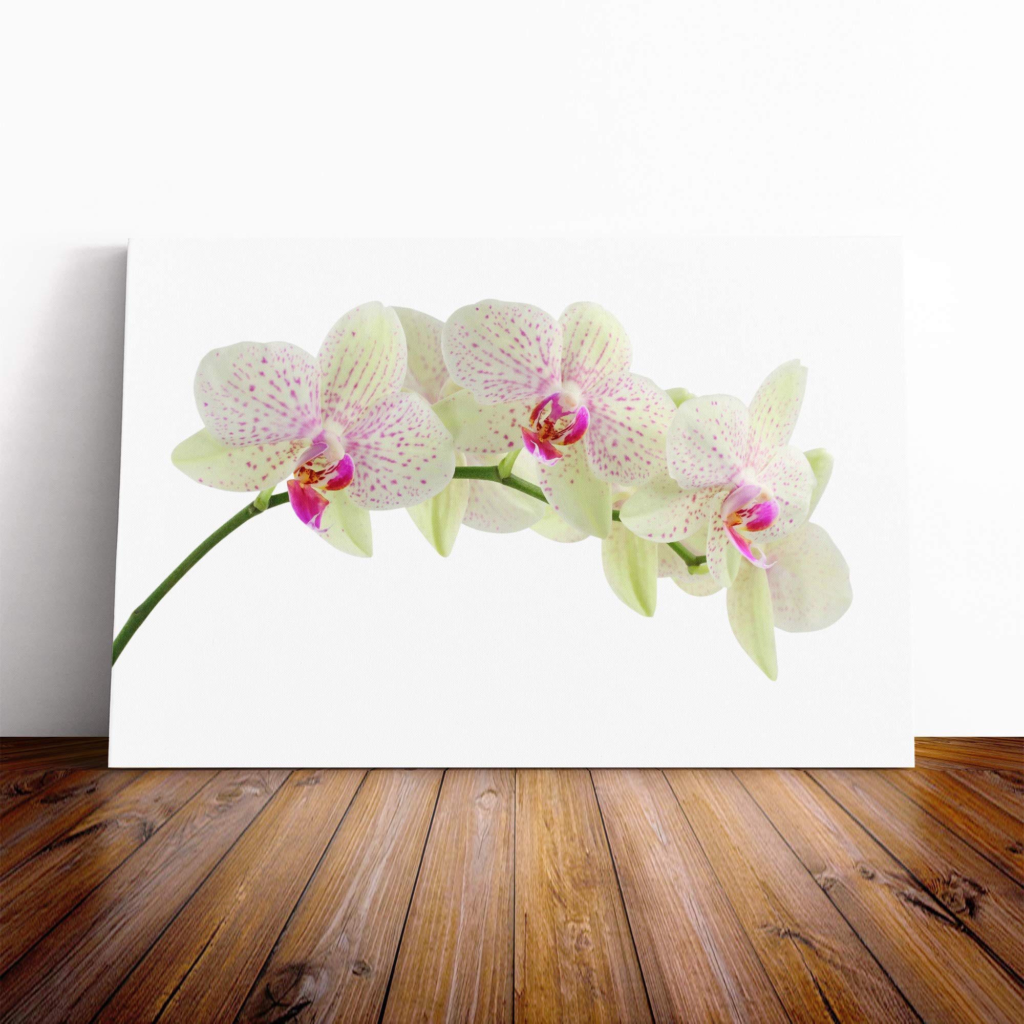 Flower White Orchid (2) Canvas Print | Gallery Wrapped 30mm Frame Wall Art | 30x20 inches | Ready to Hang | Modern Floral Picture | Living Room Bedroom Lounge Office