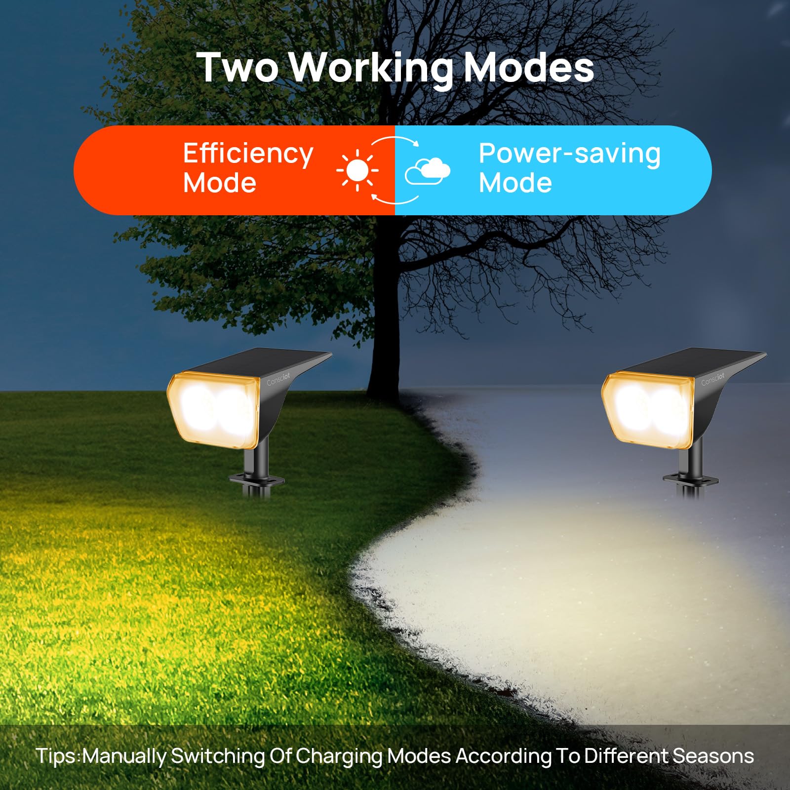 Consciot Solarstrahler Außen Wasserdicht, 24 LED Dusk-to-Dawn Solarstrahler, 2 in 1 Verstellbare Wandleuchten, Warmweiß Solar Landschaft Strahler für Garten Hof Wand Gehweg, 6 Pack