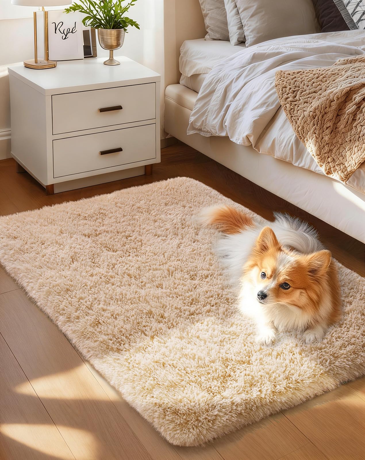 Ophanie Small Rug Washable Non Slip Throw Bedside Area Rugs, Fluffy Soft Beige Mini Bedroom Carpet, Affordable Door Entryway Indoor Inside Front Entrance Dog 2x3 Mat, Home Decor Aesthetic, Nursery