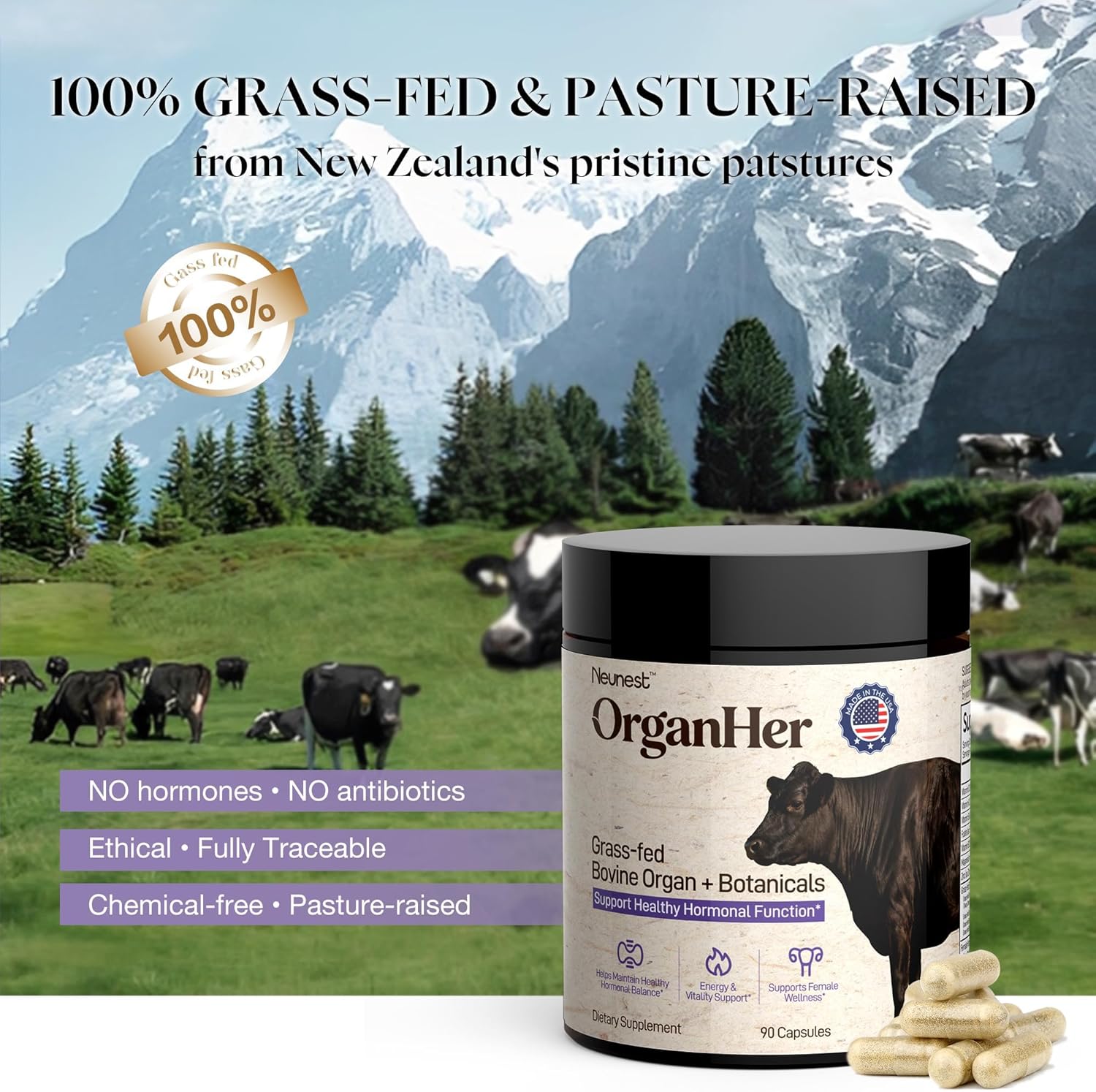 19-in-1 Primal Beef Organ Supplement for Women (USA Made & New & Improved) Grass Fed Beef Liver, Heart, DIM, Inositol, B Vitamins Complex - Support Energy, Hormone Balance, Ancestral Supplements