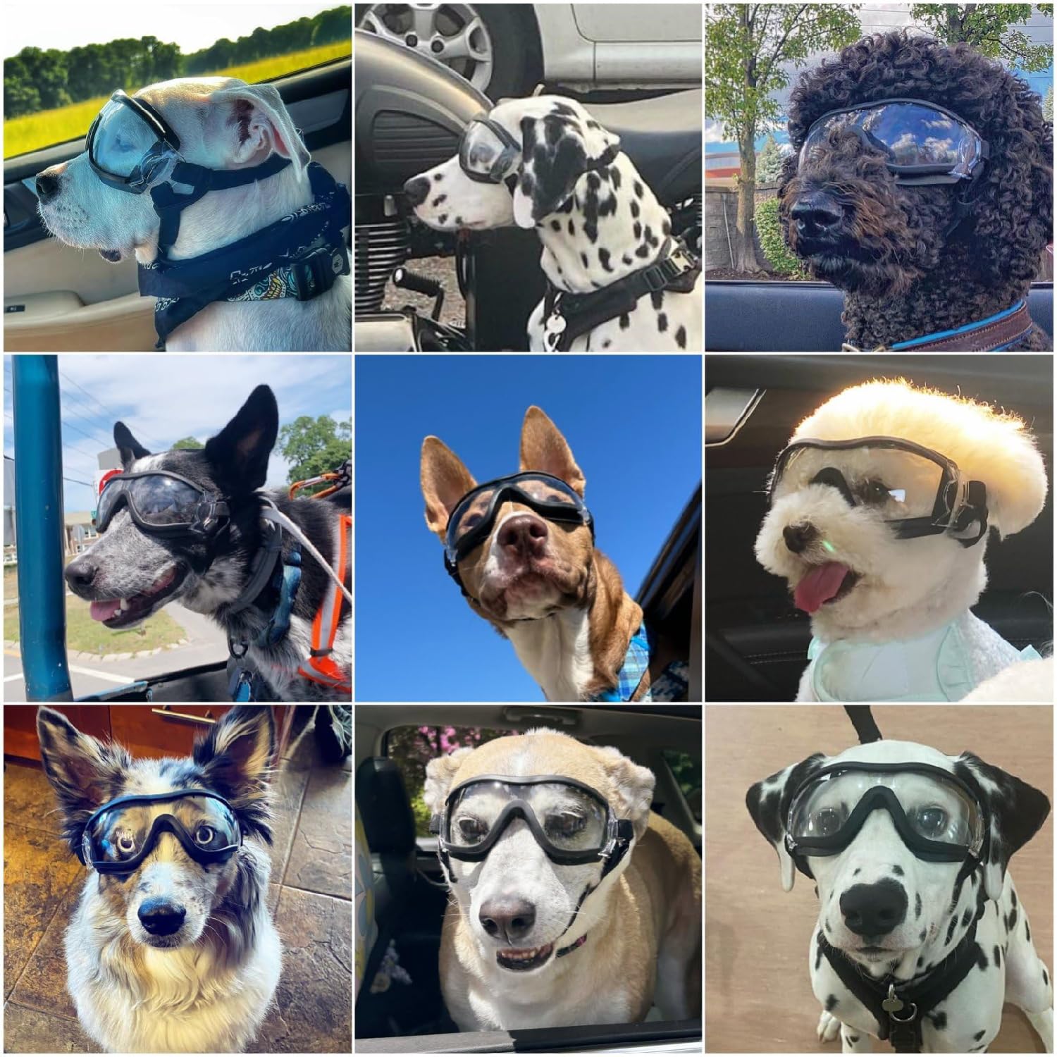 occhiali da sole per cani, occhiali protettivi per cani di taglia grande, occhiali da sole con protezione UV, occhiali da sole regolabili per cani, occhiali protettivi per cani di taglia