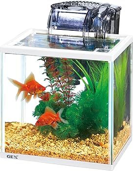 金魚 Amazon | ジェックス ガラス 金魚元気 水きれいセット L | GEX