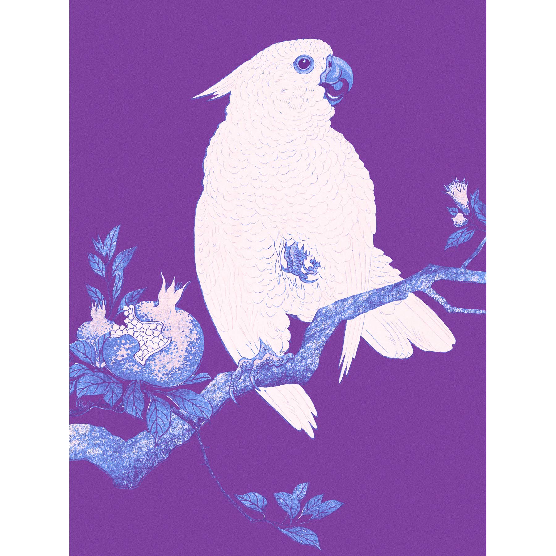 Wee Blue Coo Purple Cockatoo By Ohara Koson Art Print Poster Wall Decor