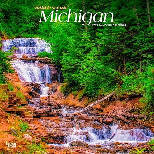 kindle best category lists