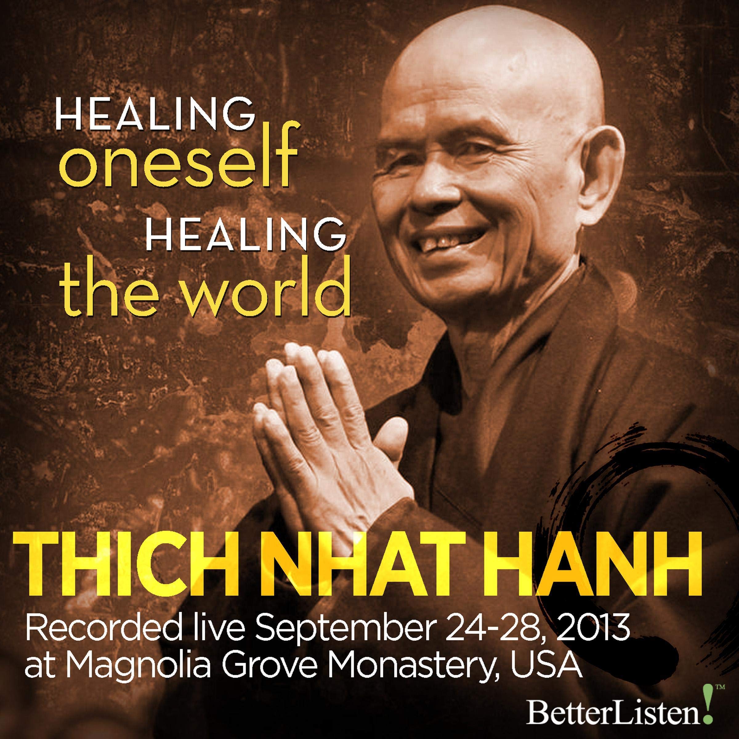 Cover art for Healing Oneself Healing the World