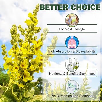Mullein Gummies 2000mg- Mullein Leaf Extract for Lungs, Lung and Respiratory System Support, Mullein Gummies - Mullein Leaf Extract for Lungs
