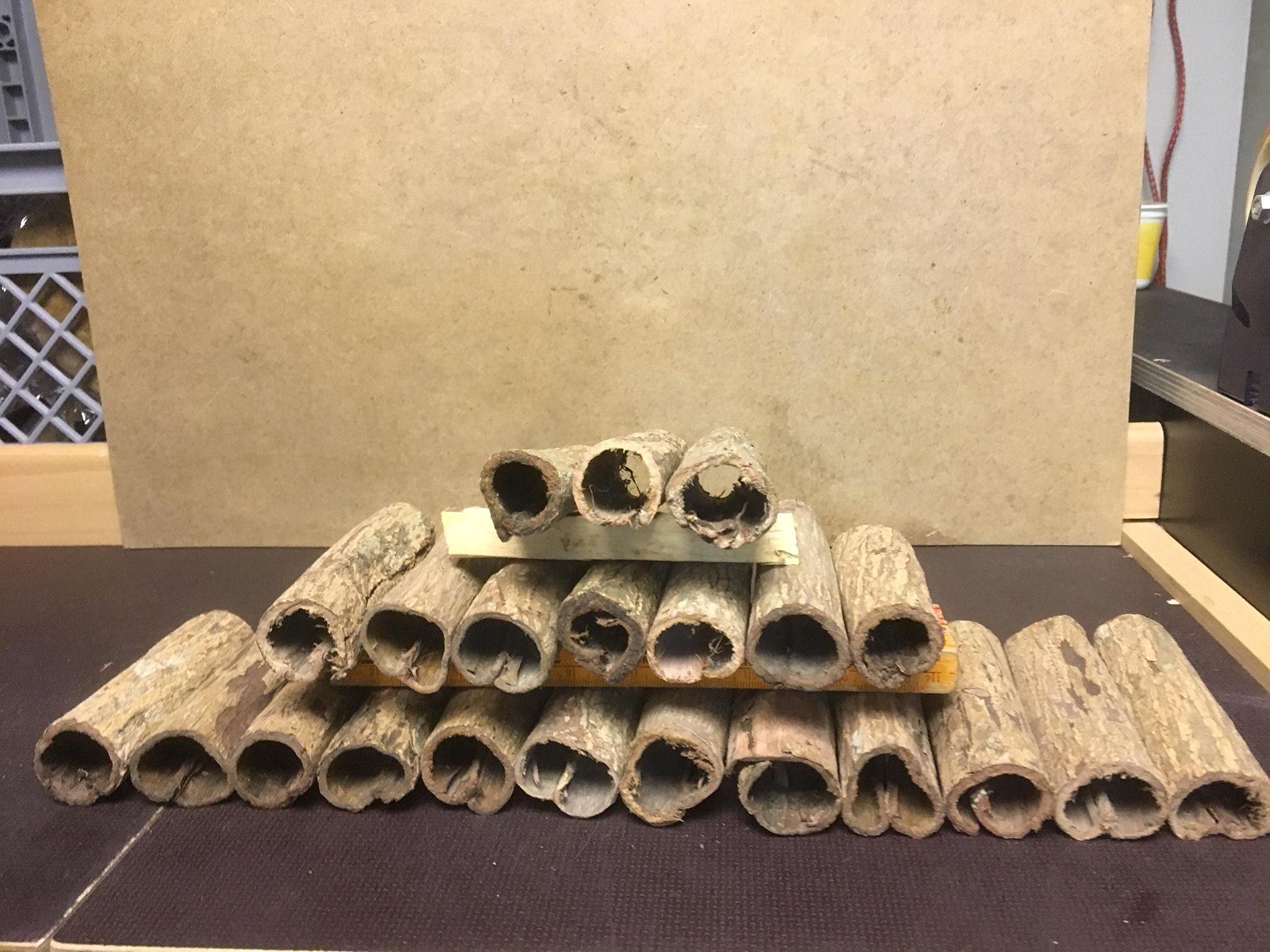 Tubos de corteza de almendro indio de diámetro de 3 cm x 10 cm hasta 12 cm (Catappa Barks Cave/Tube, cueva de siluro)