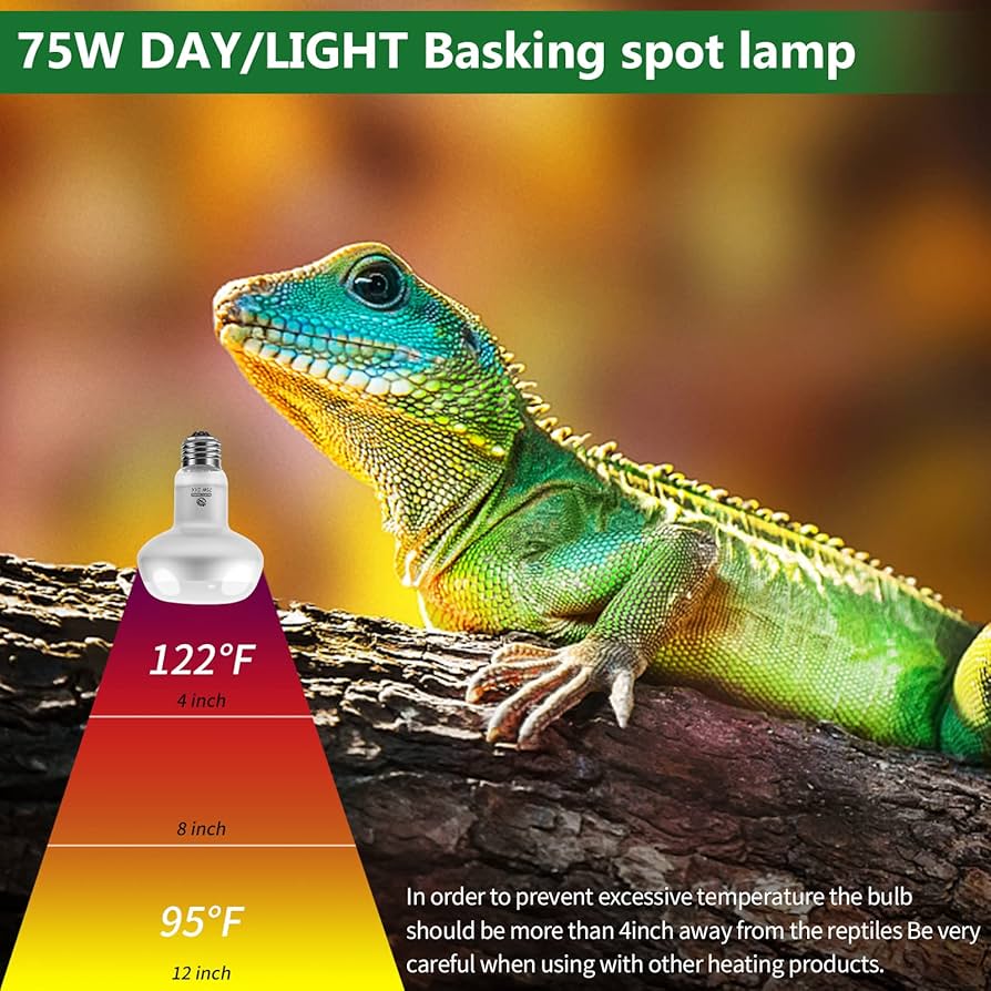 Reptile Mister REPTI ZOO 50W Reptile Heat Lamp Bulb,2 Pack Intense