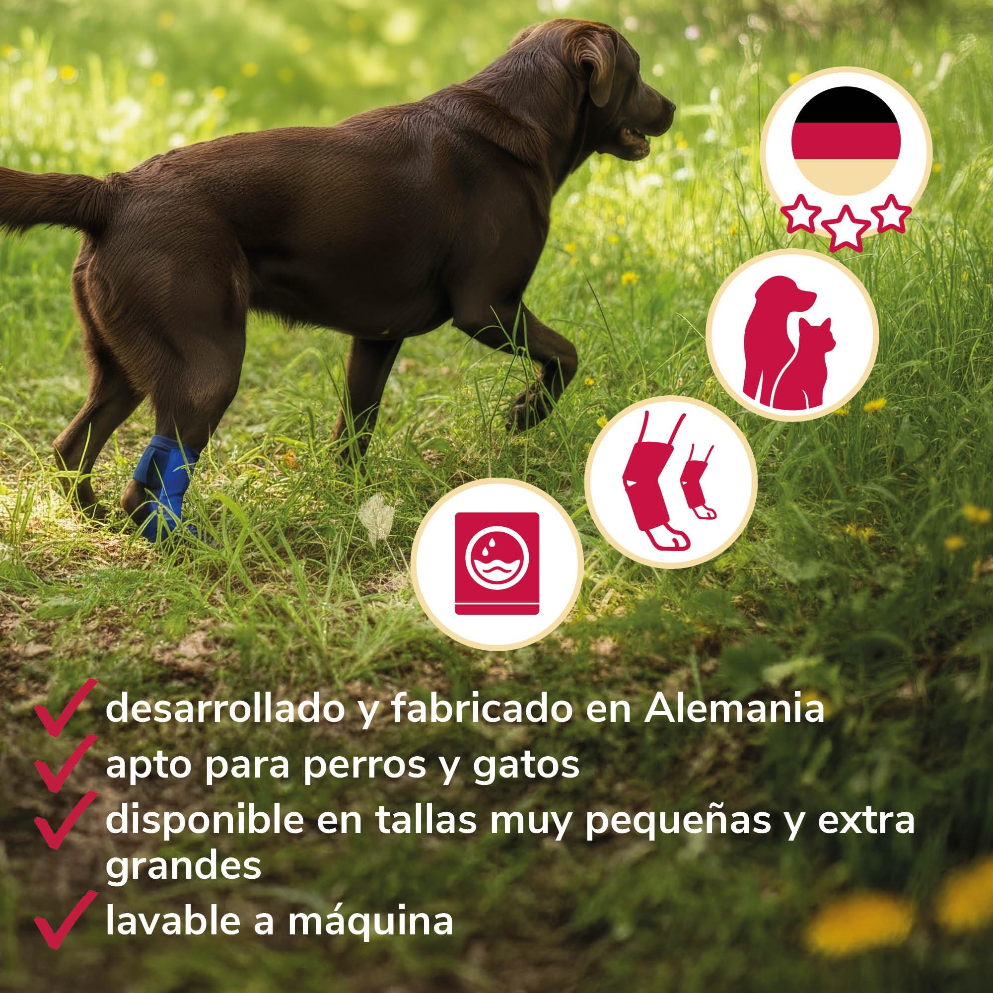 Vendaje de Corvejón de Espuma Talla L para Perros & Gatos – Transpirable con Férulas para el Soporte del Corvejón en Artrosis e Inestabilidad