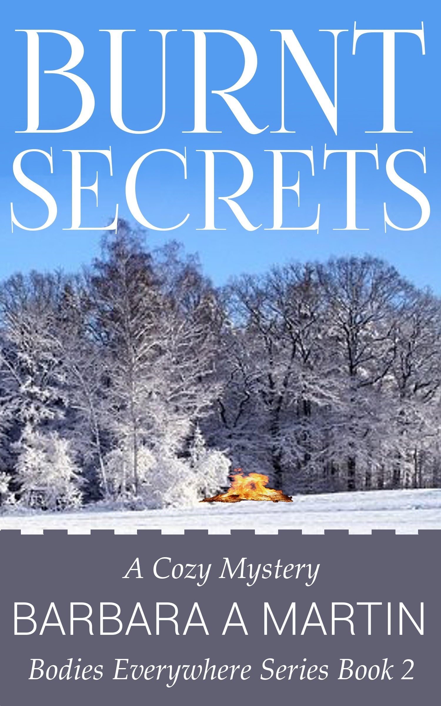 Burnt Secrets (Bodies Everywhere Series Book 2)