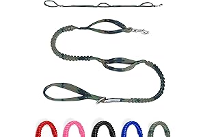 Shed No More: Shield Your Home from Pet Hair with Shed Defender's Bungee Dog Leash