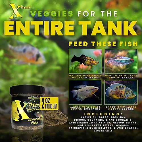 Miniatura 10 de Xtreme Spirulina Crave - Alimento en escamas para peces tropicales, copos ultra frescos de primera calidad con ingredientes naturales, dieta