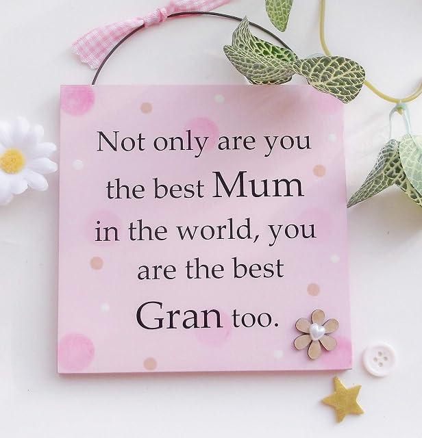 Not only are you the best Mum in the world you are the best Gran too wooden gift plaque