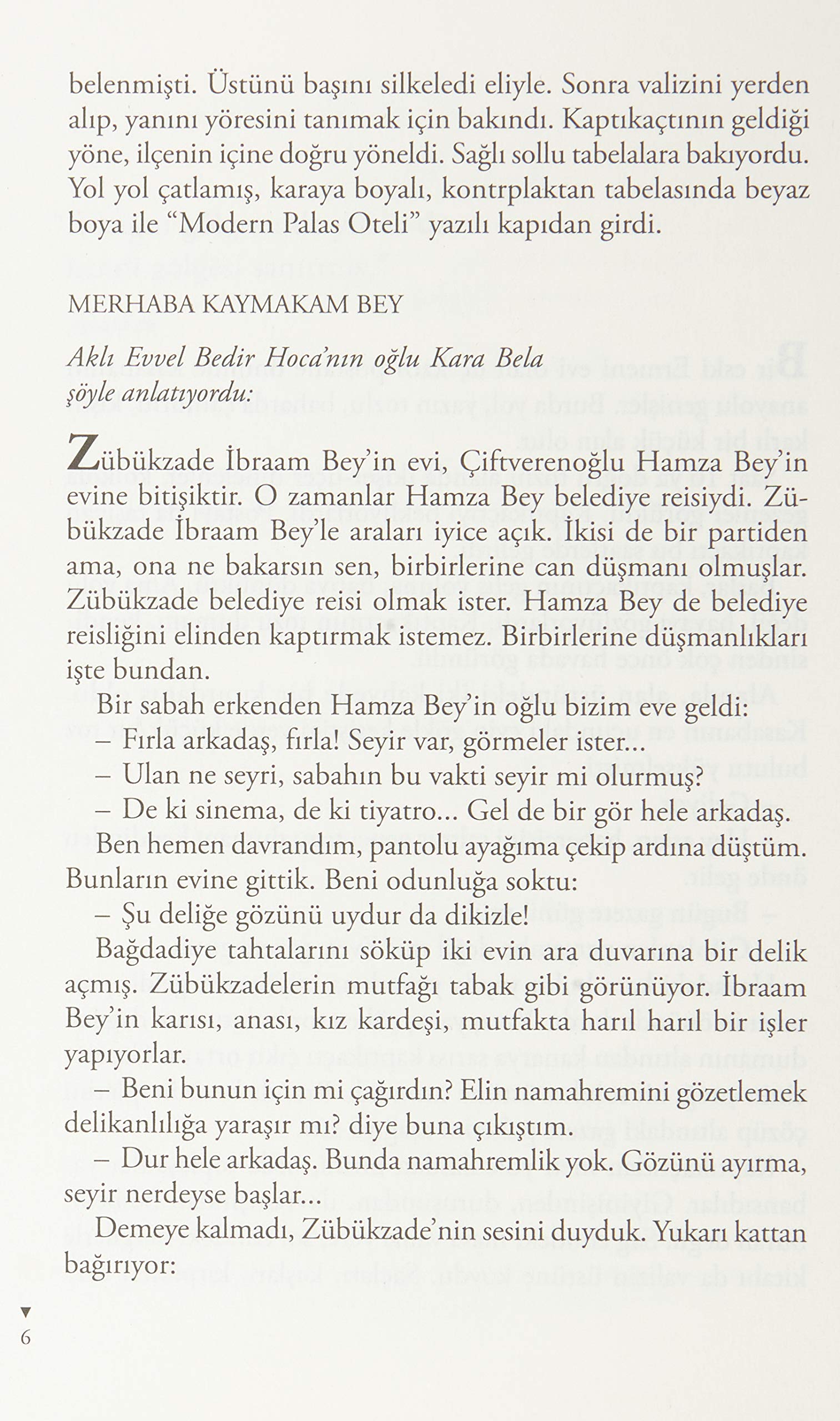 Zübük: Kağnı Gölgesindeki İt