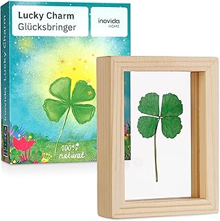 Inovida Kleine Glücksbringer: Echtes vierblättriges Kleeblatt zum Verschenken im Holzrahmen – Kleines Geschenk für Glück – Aufmunterung Geschenke – Dankeschön Geschenke Klein – Glücksbringer Prüfung