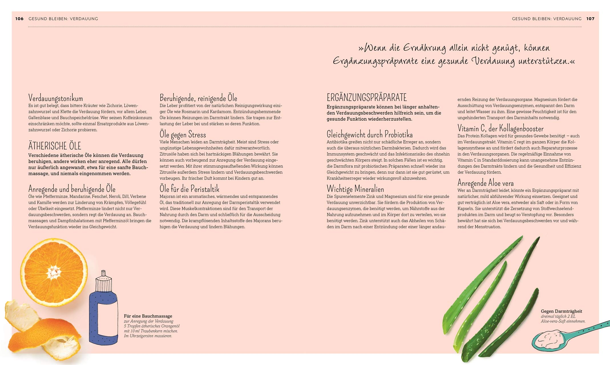 Die grüne Hausapotheke: Über 800 natürliche Heilmittel für die ganze Familie. Vorbeugen – Behandeln – Gesund bleiben