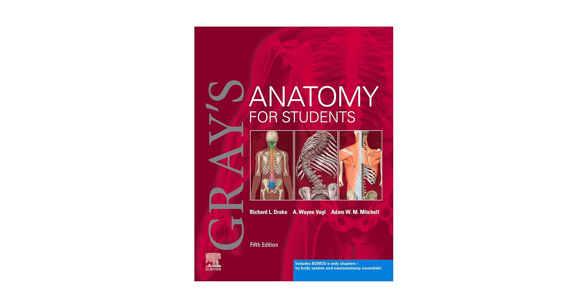 Amazon.com: Gray's Anatomy for Students E-Book eBook : Drake