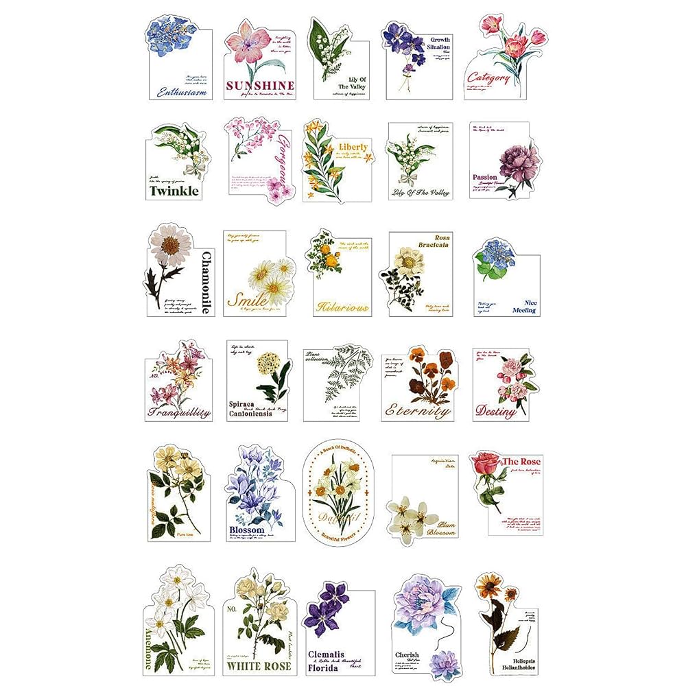 Amazon | ポストカード花植物フォーム はがきフラワーカード