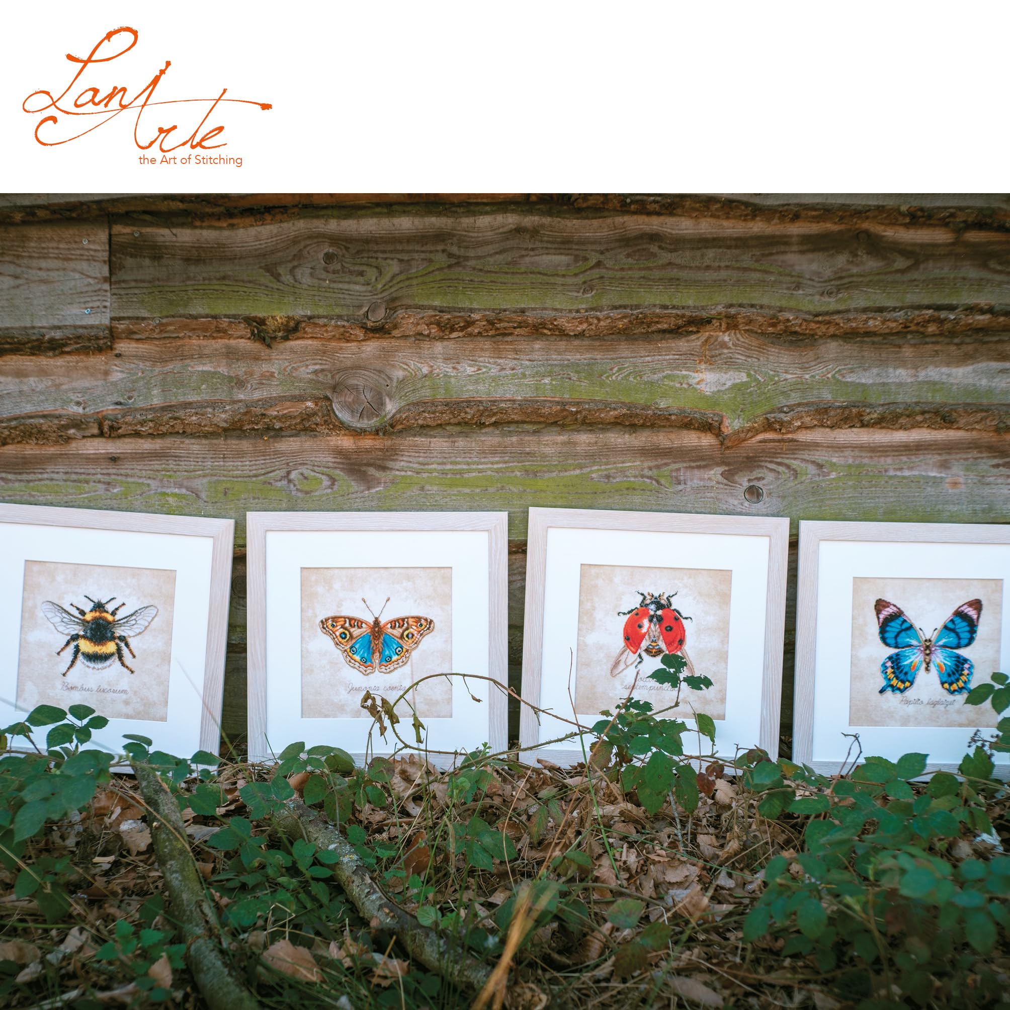 LANARTE Haft Krzyżykowy Liczony Zestaw Obraz do Haftu COCCINELLA SEPTEMPUNCTATA Zrób to Sam Zestaw Kreatywny dla Dorosłych Rękodzieło Artystyczne 21 x 21 cm Dekoracja Ścienna DIY Cross Stitch Kit