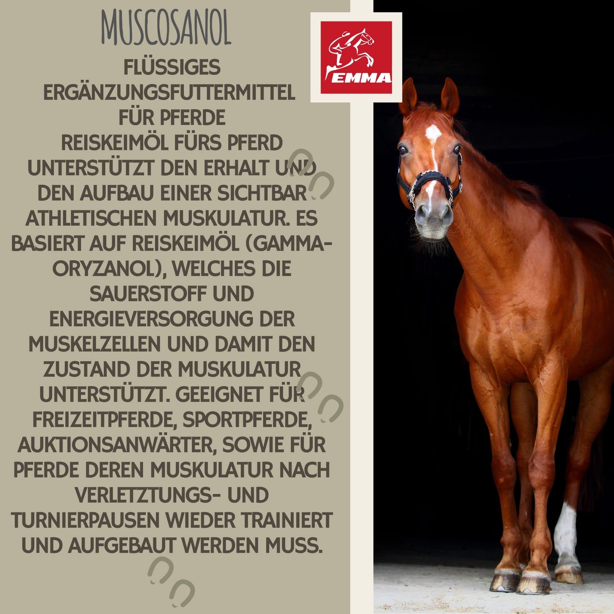 Líquido de Refuerzo Muscular para Caballos con Aceite de Germen de arroz Vitamina E Caballo Aceite de linaza I alimento reconstituyente I vitaminas alimento suplementario para el Refuerzo Muscular 1L